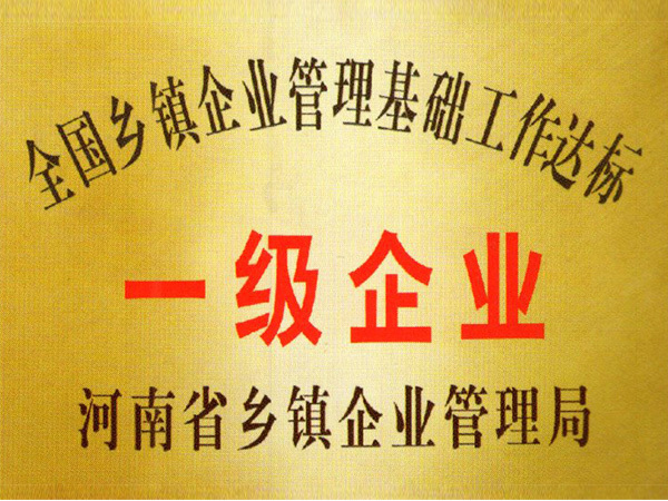 鄉鎮一級企業(yè)