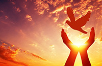 做爲優秀的(de)企業(yè)家不忘家鄉人(rén)民(mín)支持，積極投身公益